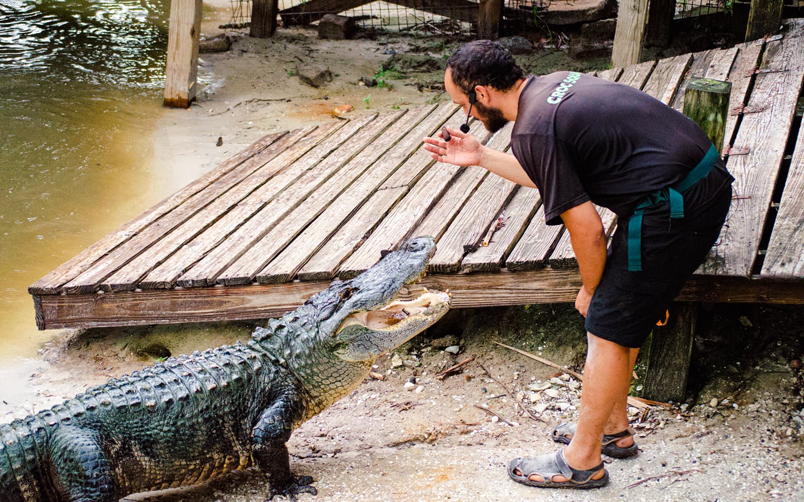 Orlando: Wild Florida Drive‑Thru Safari Park tickets in Miami - Highlights | TickYourList