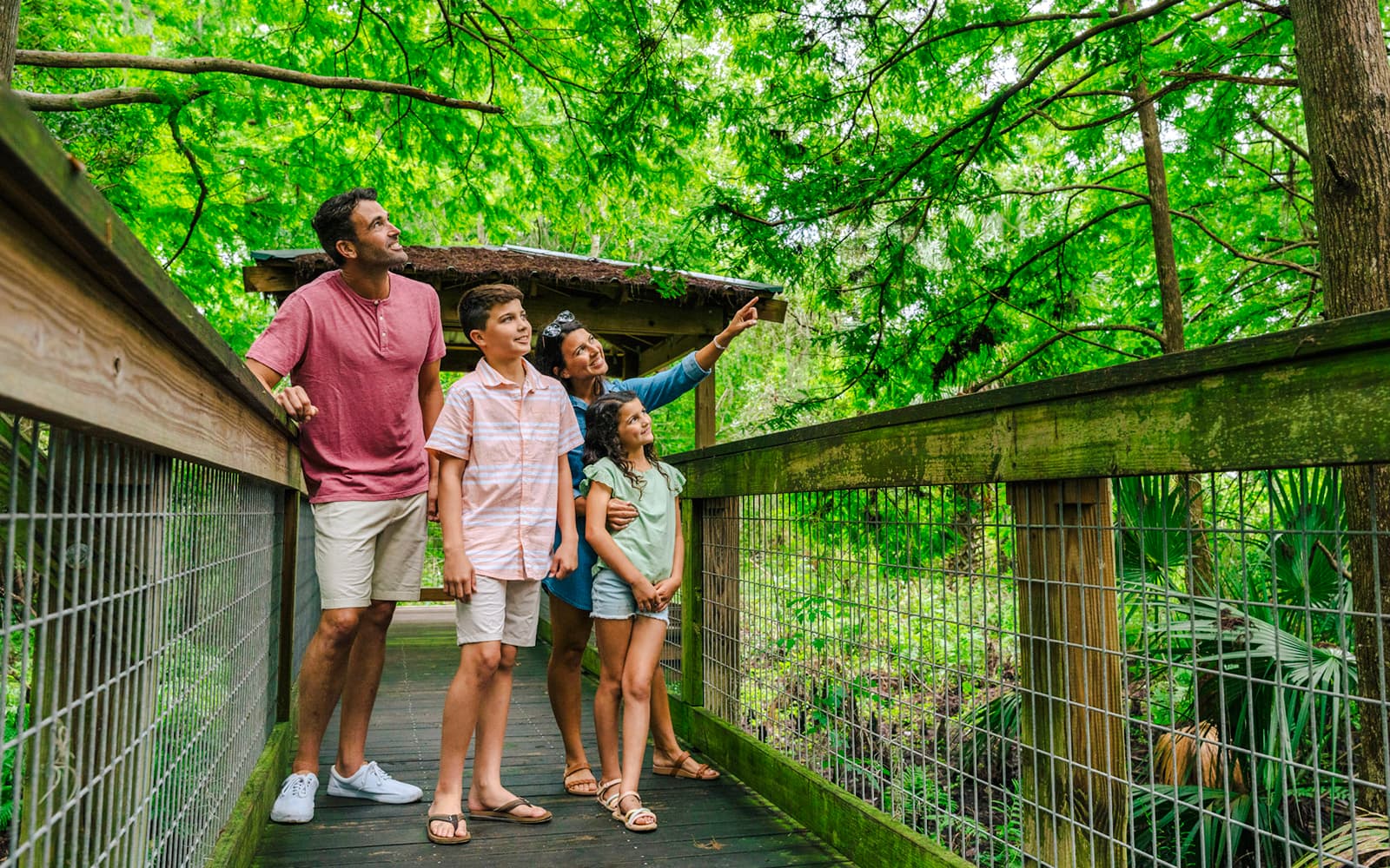 Orlando: Wild Florida Drive‑Thru Safari Park tickets in Miami - Features | TickYourList