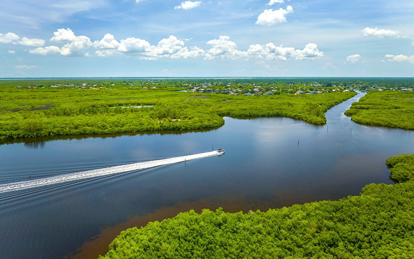 Miami: Everglades Airboat Tour with Reptile Exhibit & Optional Transportation tickets in Miami - Attractions | TickYourList