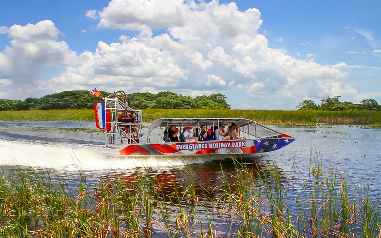 Miami: Airboat Tour with Wildlife Show & Transportation from Miami