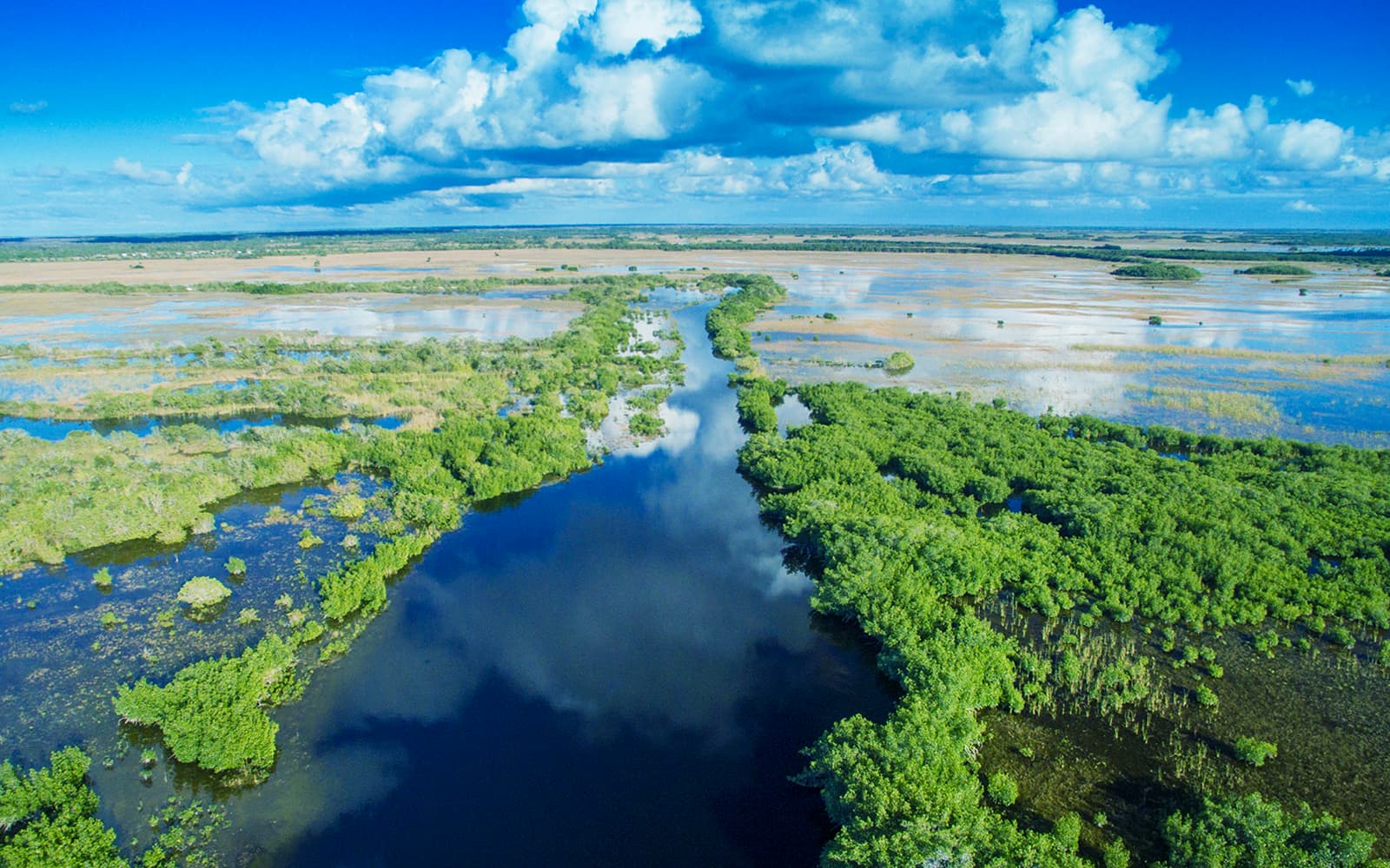 Miami: Airboat Tour with Wildlife Show & Transportation from Miami tickets in Miami - Attractions | TickYourList