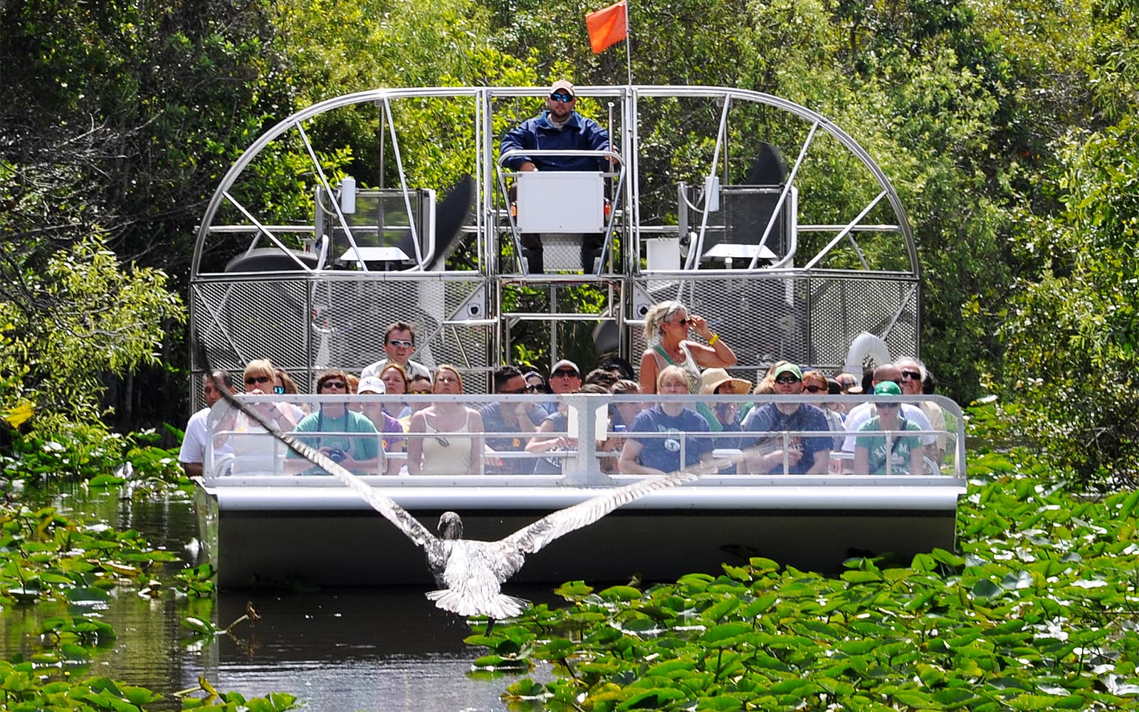 Miami: Airboat Tour with Wildlife Show & Transportation from Miami tickets in Miami - Activities | TickYourList