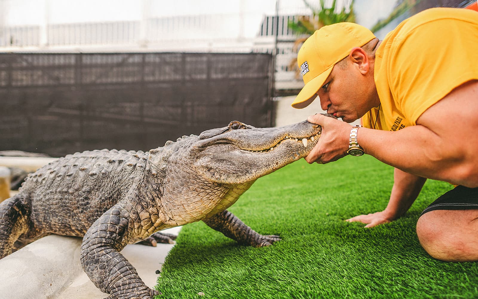 Miami: Everglades Holiday Park Airboat Tour with Alligator Show tickets in Miami - Features | TickYourList