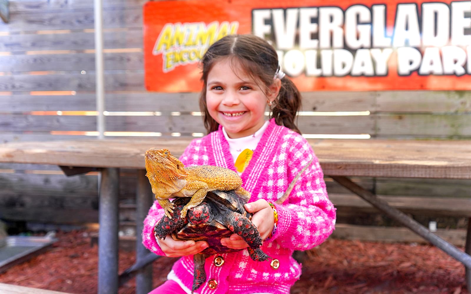 Miami: Everglades Holiday Park Animal Encounter Experience Tickets