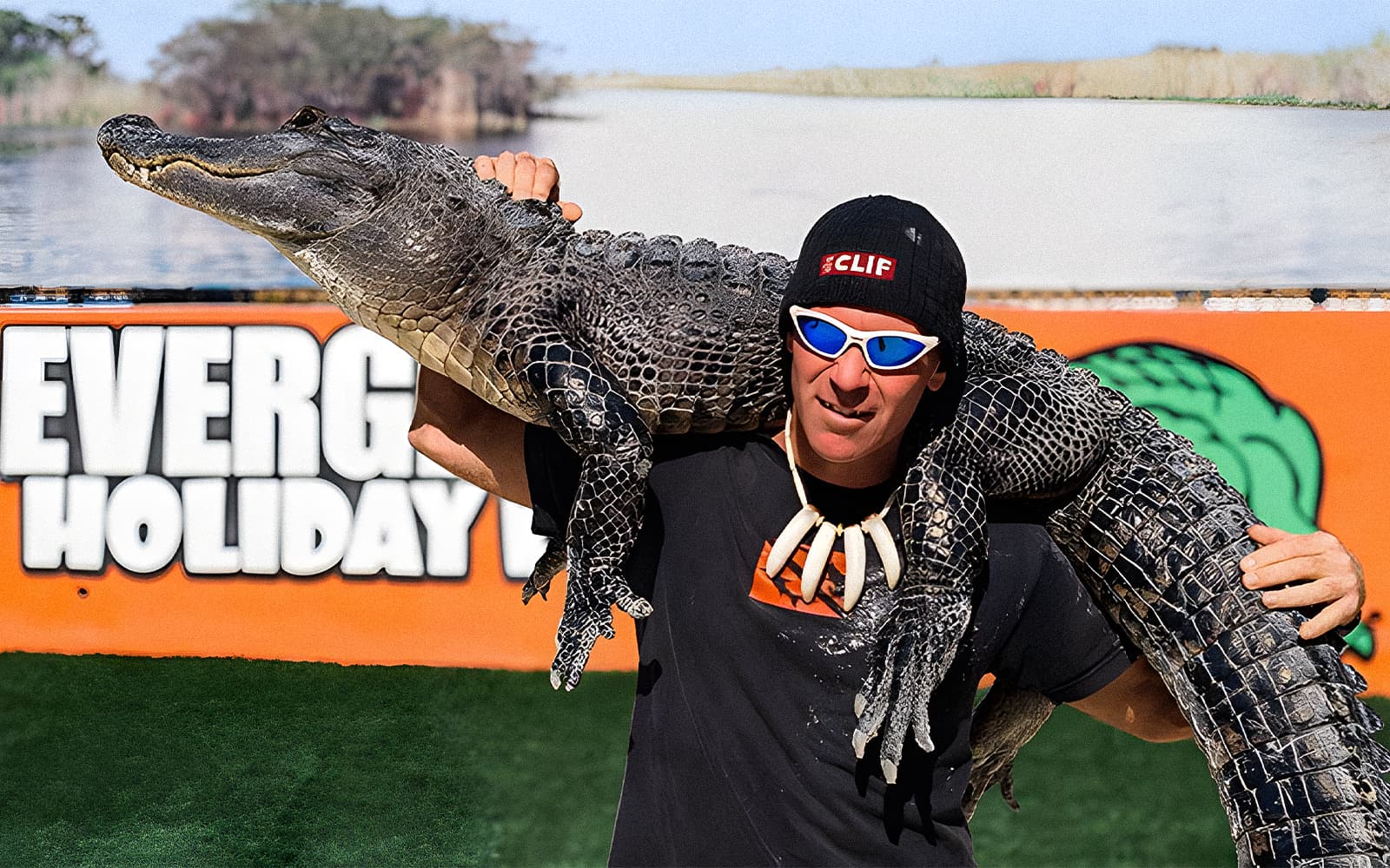 Miami: Everglades Holiday Park Airboat Tour with Wildlife Show & Animal Encounter tickets in Miami - Attractions | TickYourList