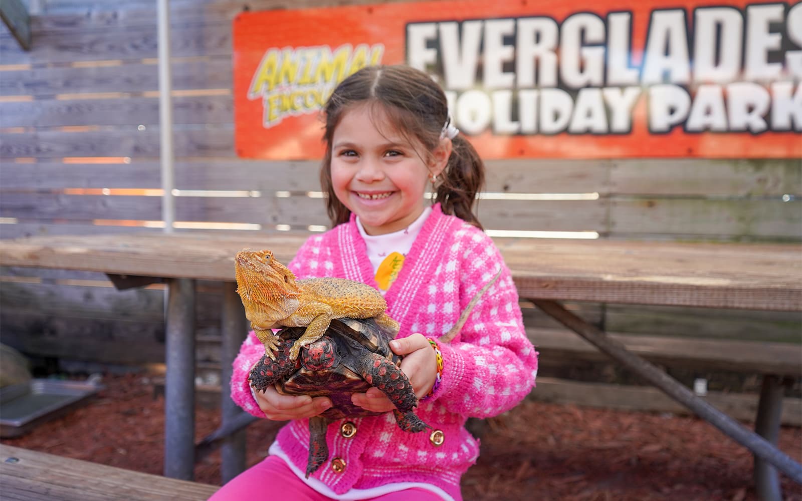Miami: Everglades Holiday Park Airboat Tour with Wildlife Show & Animal Encounter tickets in Miami - Highlights | TickYourList