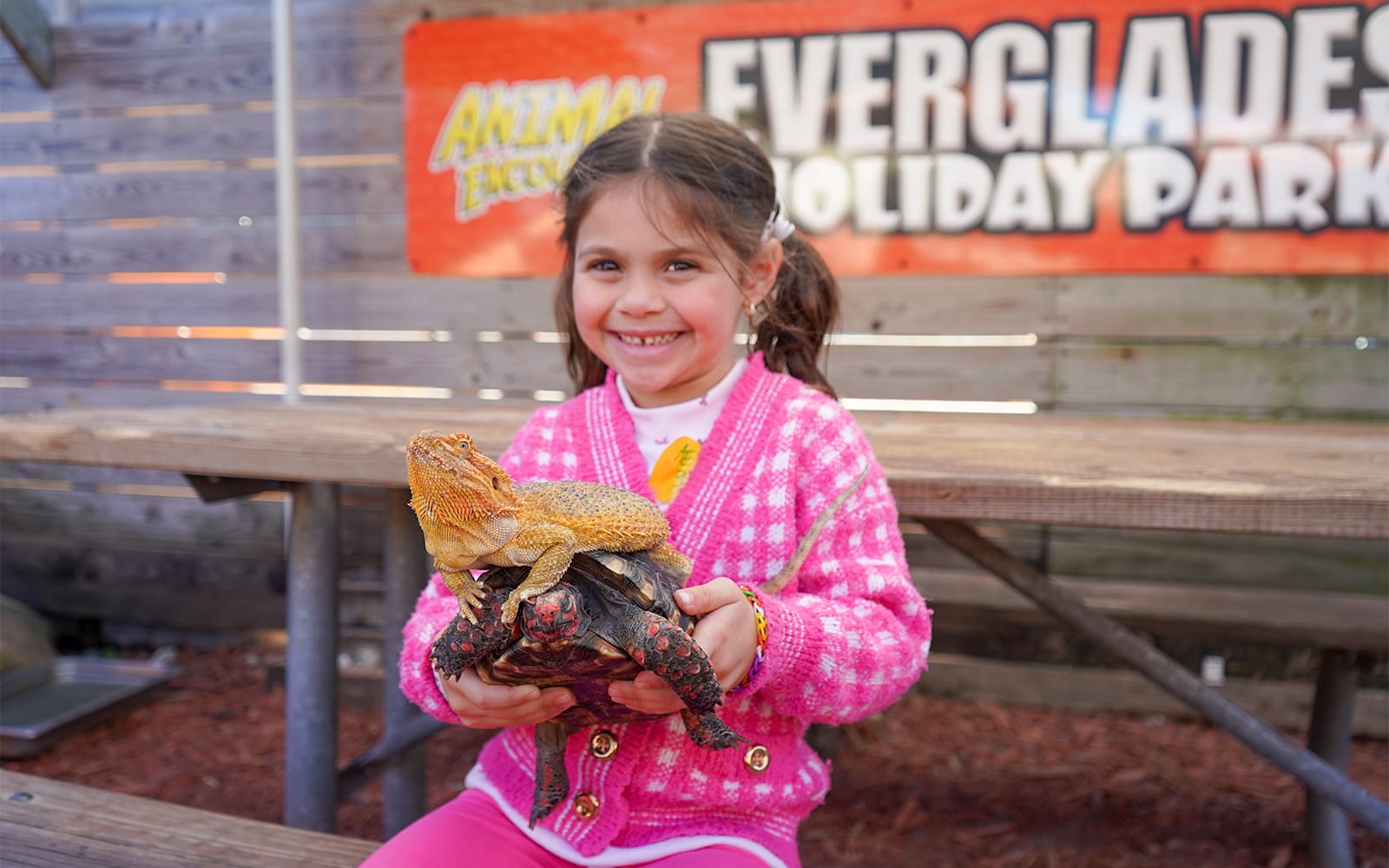 Miami: Everglades Holiday Park Airboat Tour with Wildlife Show & Animal Encounter tickets in Miami - Highlights | TickYourList