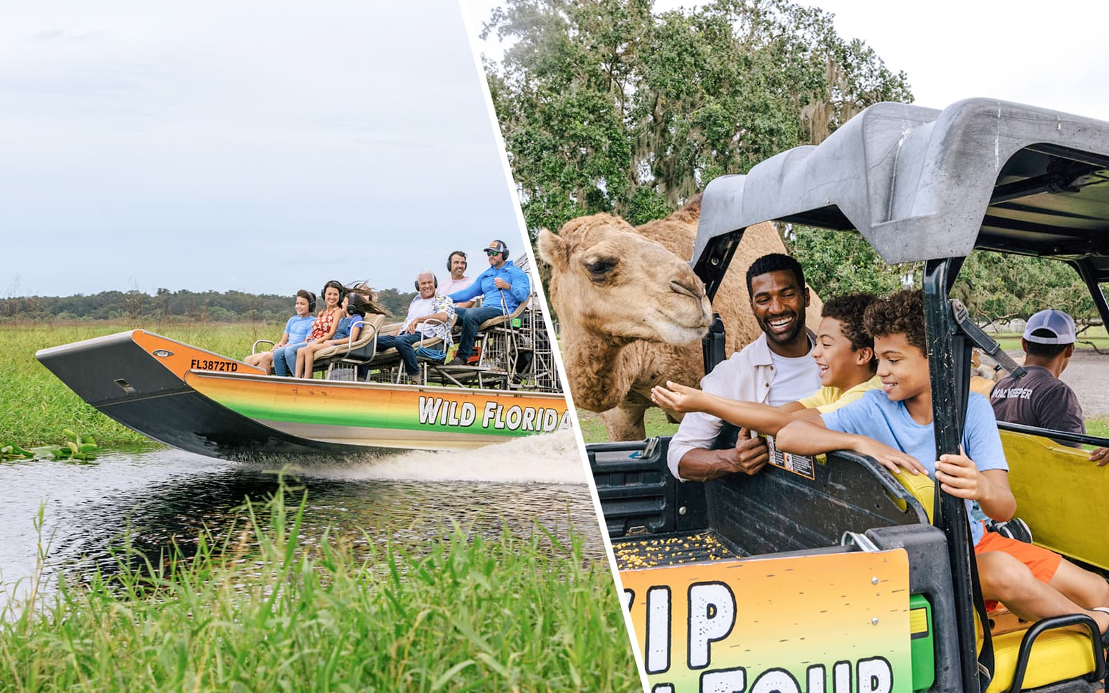 Orlando: Wild Florida 1‑Hour Airboat Tour with Gator Park Tickets + Wild Florida Drive‑Thru Safari Park