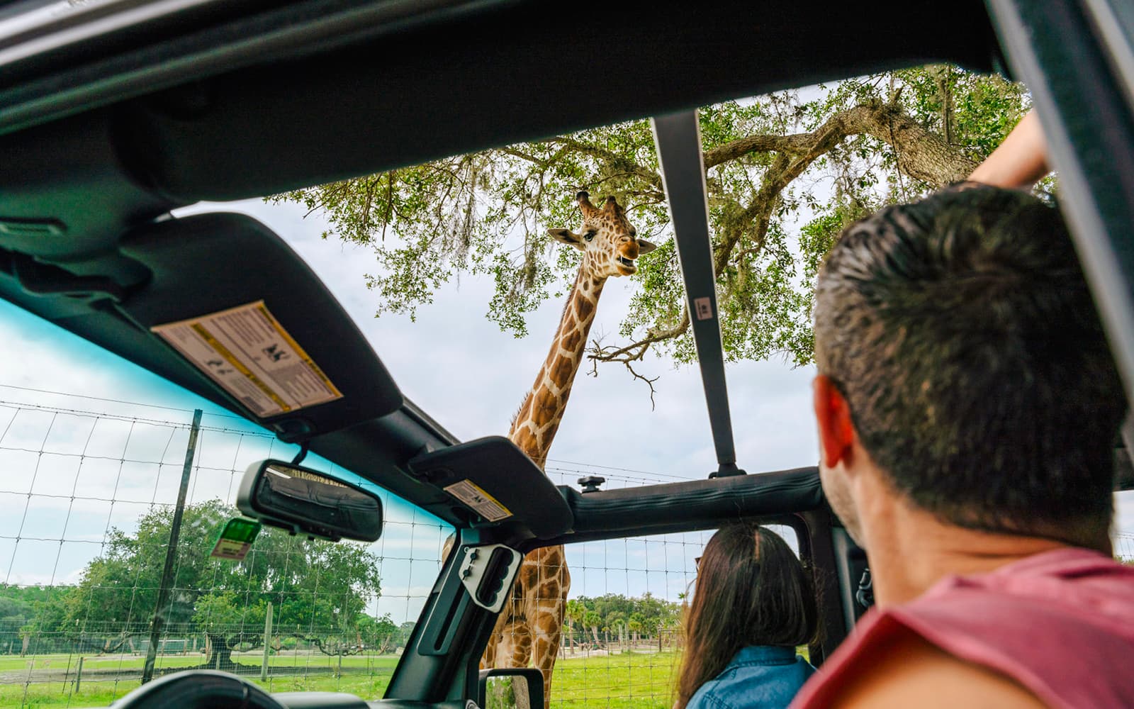 Orlando: Wild Florida 1‑Hour Airboat Tour with Gator Park Tickets + Wild Florida Drive‑Thru Safari Park in Miami - Features | TickYourList