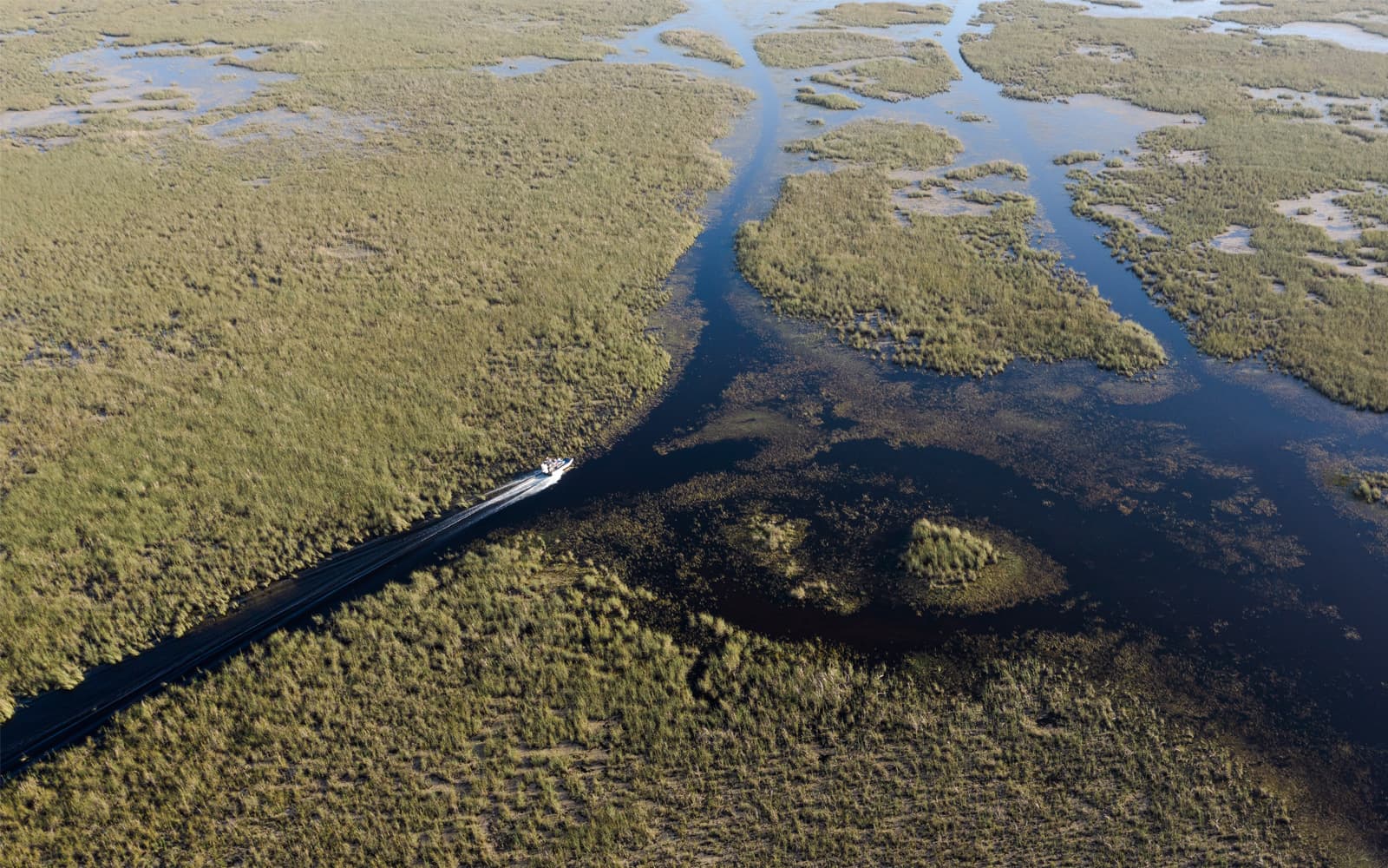 Miami: Sawgrass Recreation Park Airboat Tour with Reptile Exhibit tickets in Miami - Attractions | TickYourList