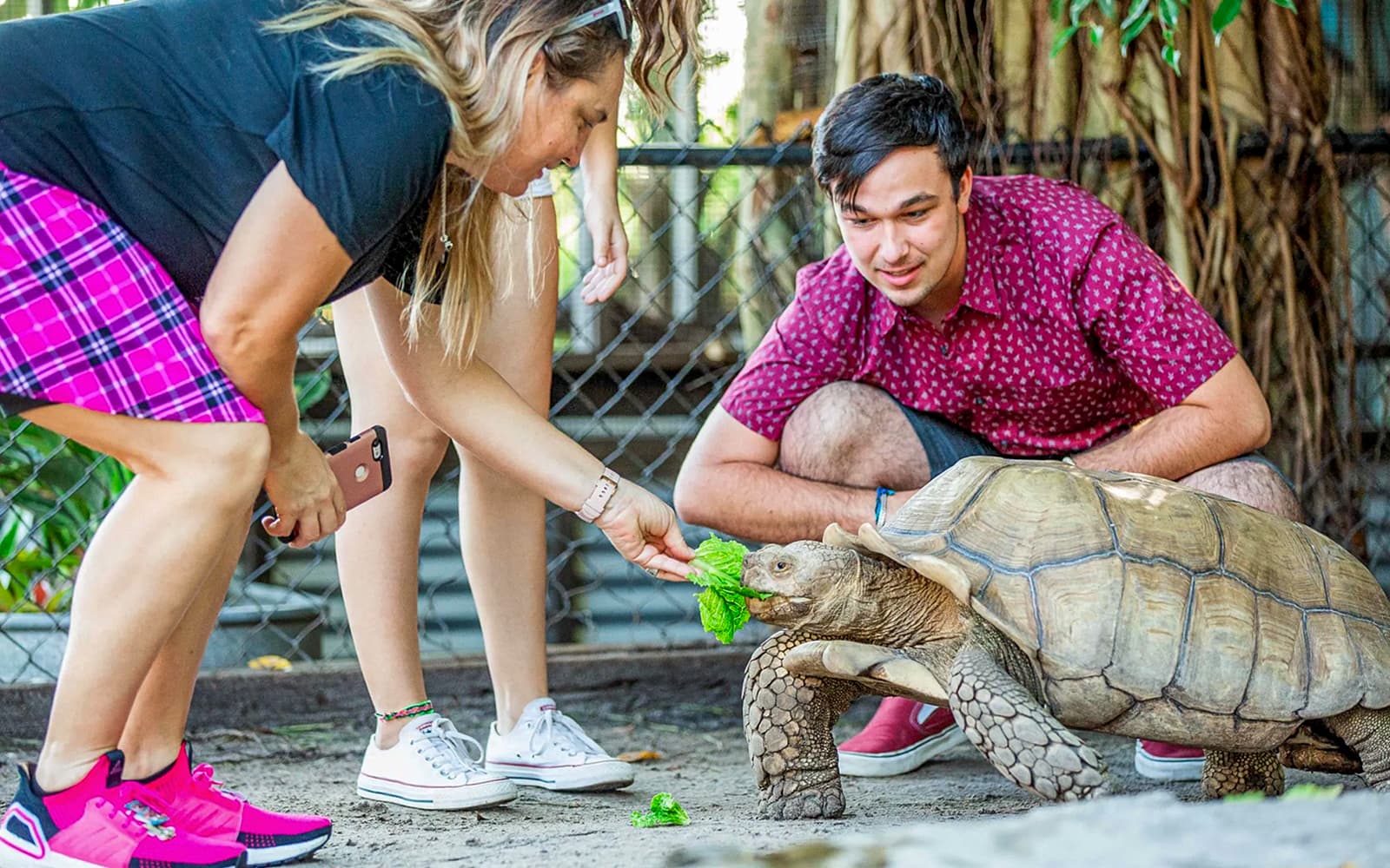 Miami: Sawgrass Recreation Park Airboat Tour with Reptile Exhibit tickets in Miami - Features | TickYourList