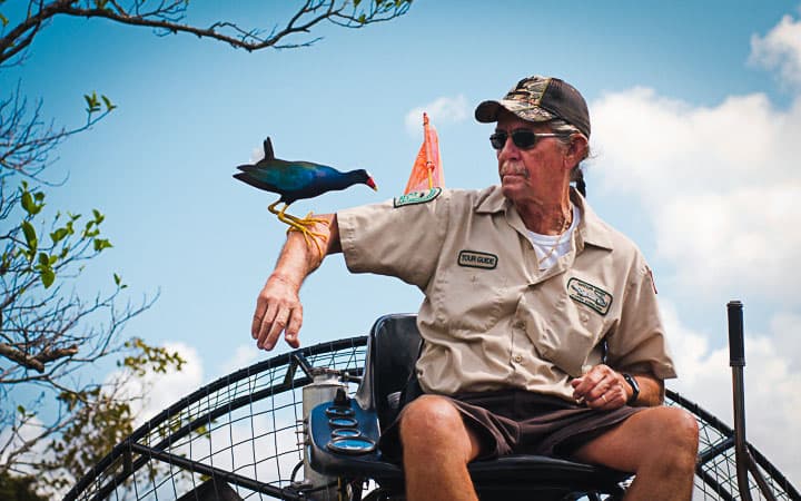 Airboat Gator Tour