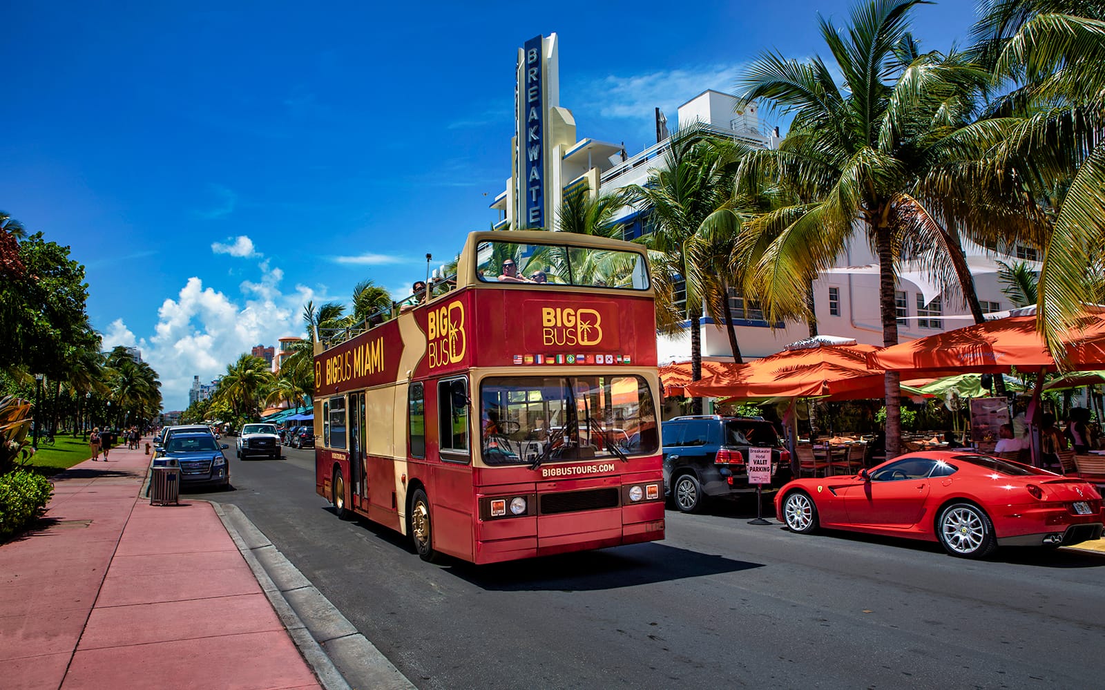 Big Bus: Miami Hop-On Hop-Off Bus Tour with Optional Boat Cruise & Night Tour tickets in Miami - Activities | TickYourList