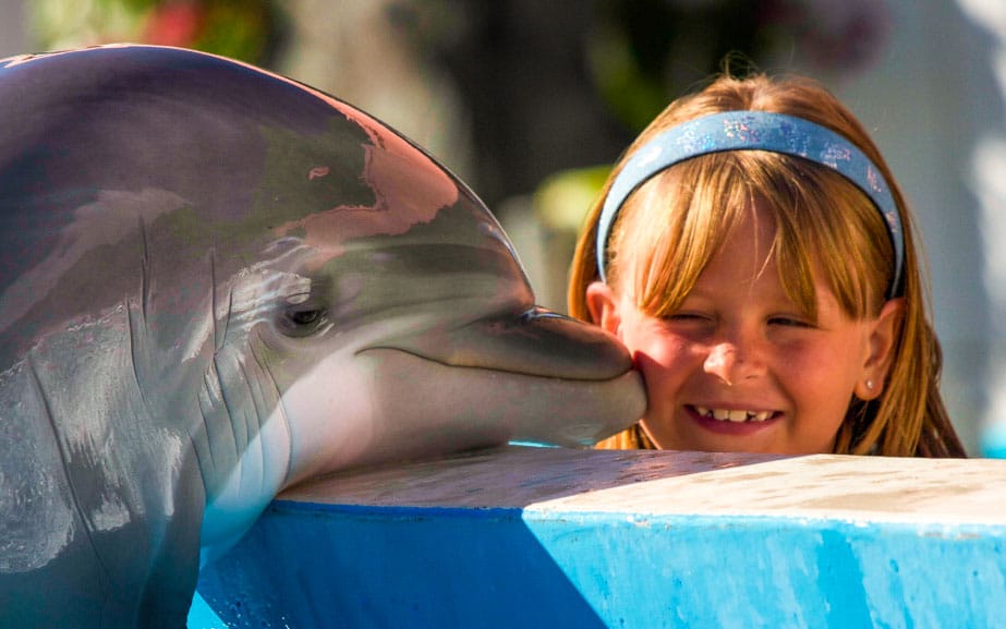 Miami Seaquarium tickets in Miami - Book Now | TickYourList