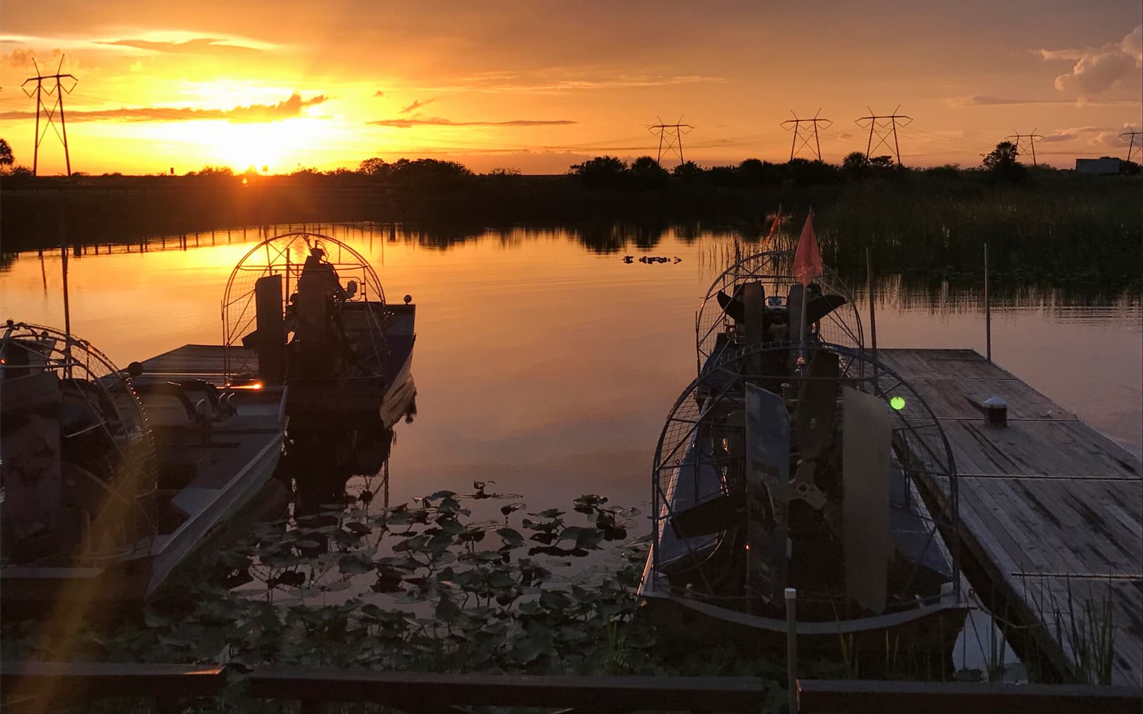 Sawgrass Recreation Park: Airboat Ride at Night tickets in Miami - Explore More | TickYourList
