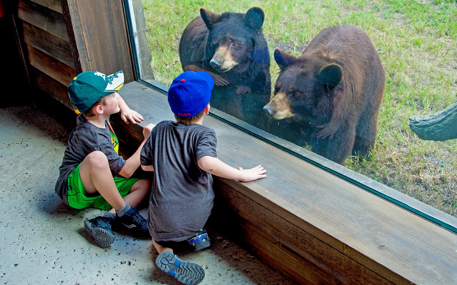 Zoo Miami Tickets in Miami - Attractions | TickYourList