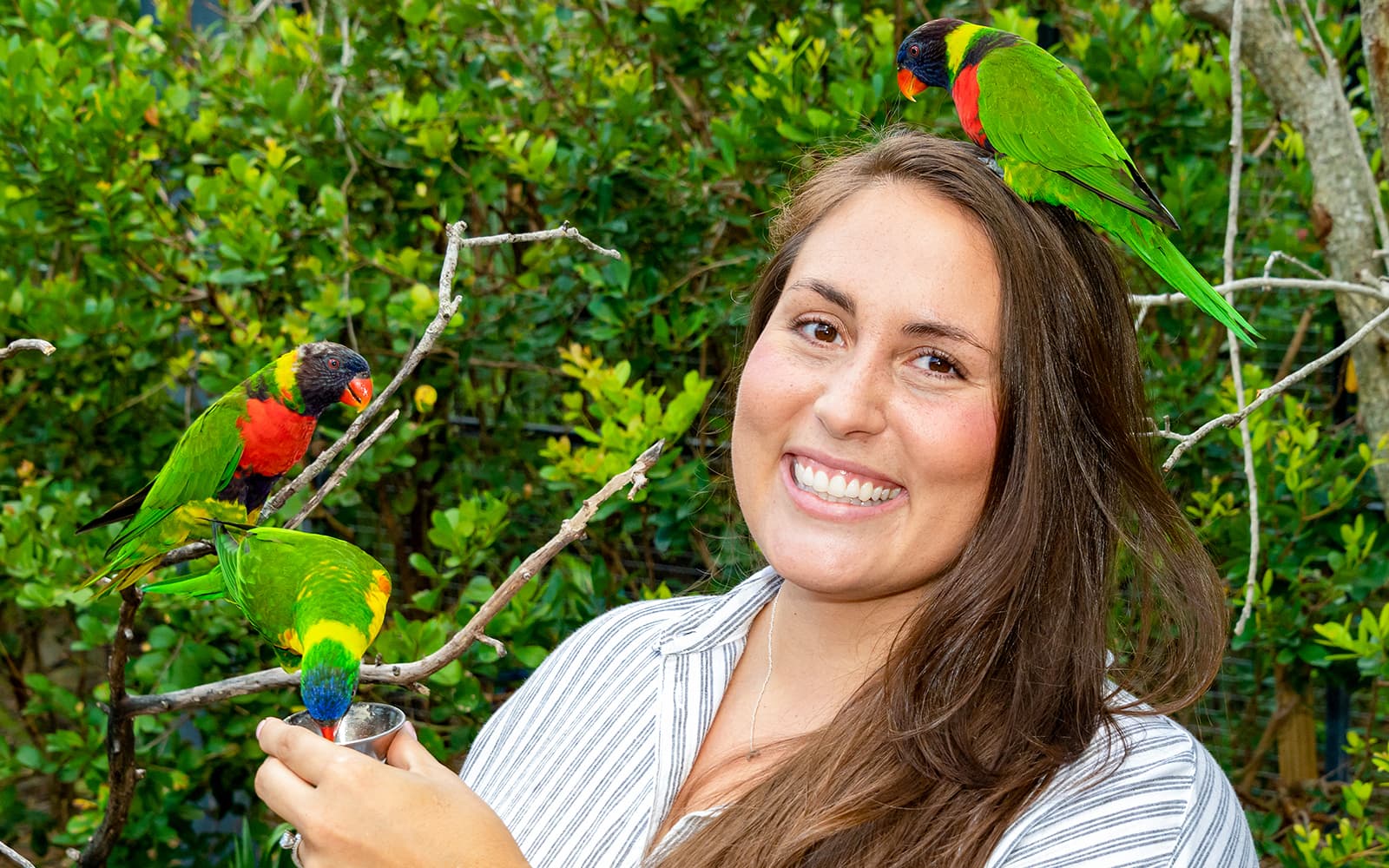 Zoo Miami Tickets: Groups of 4 And More in Miami - Highlights | TickYourList