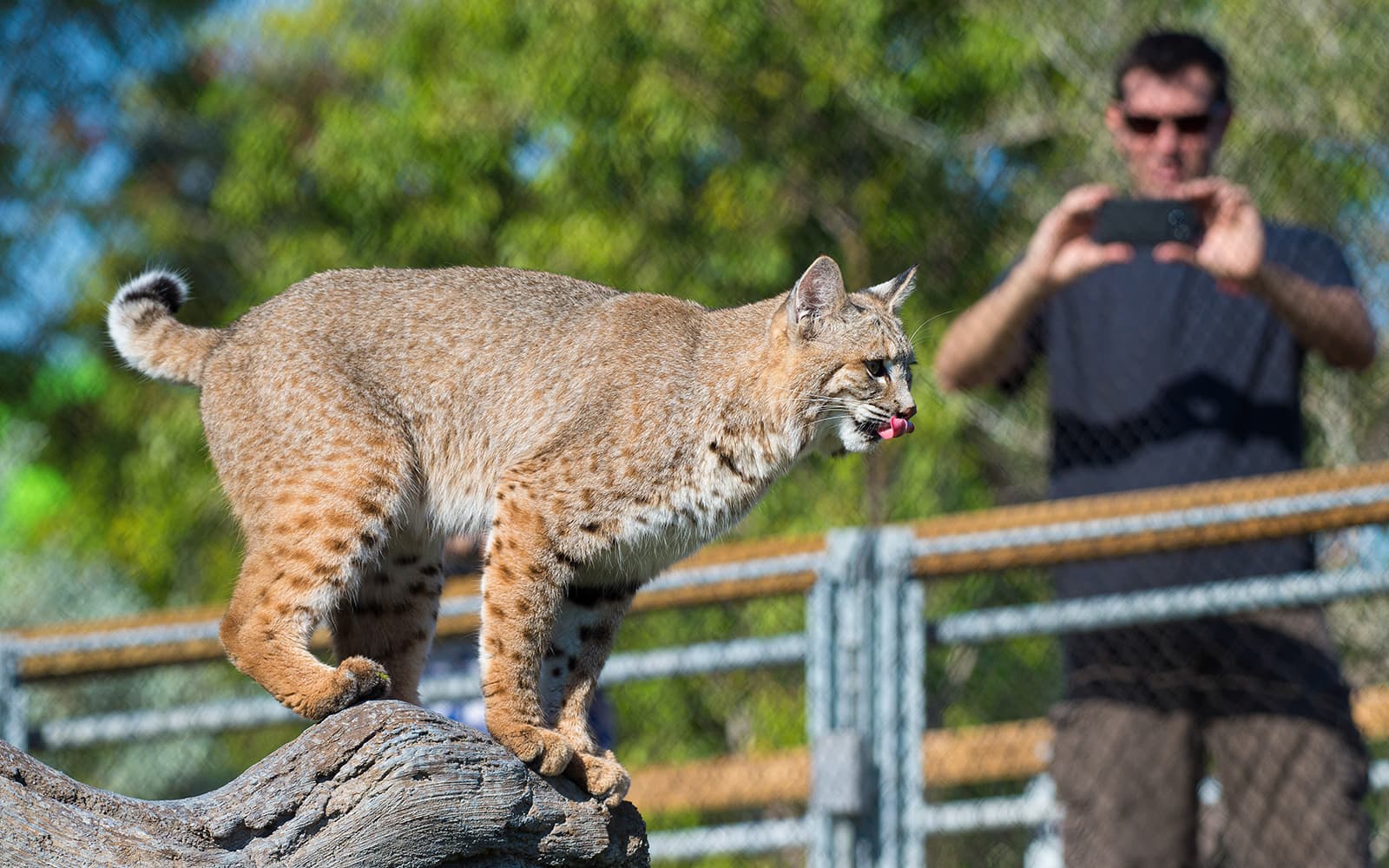 Zoo Miami Tickets: Groups of 4 And More in Miami - Features | TickYourList