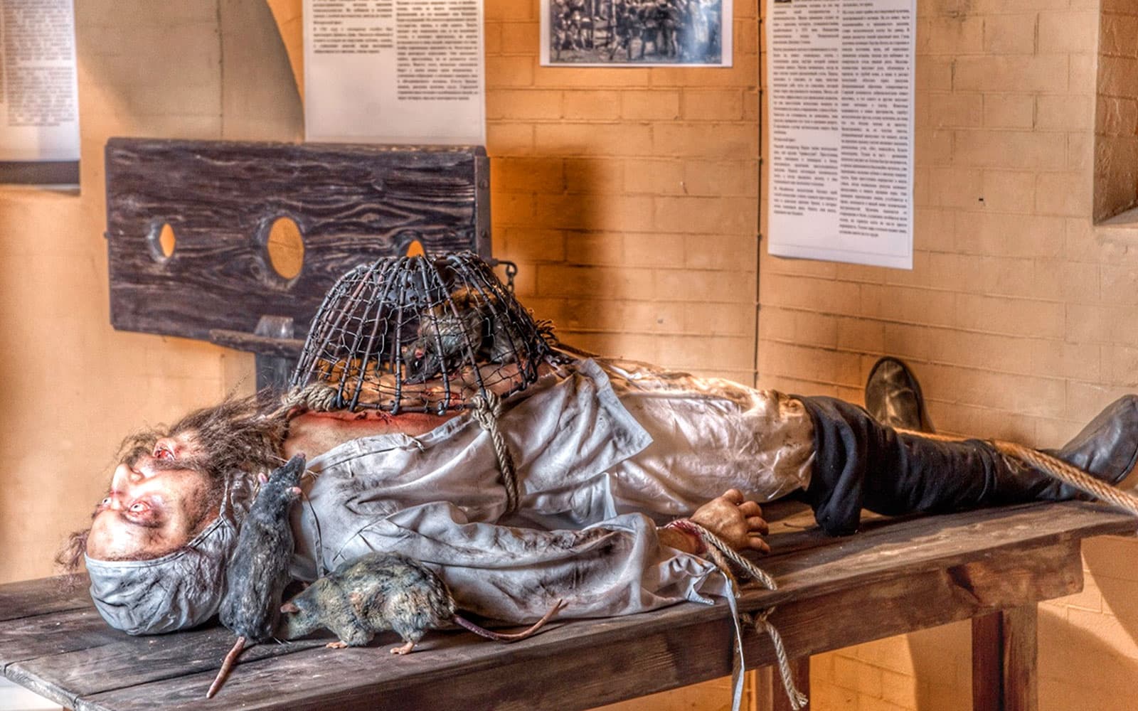 Medieval Torture Museum + Tiny Art Museum Tickets in St. Augustine - Features | TickYourList
