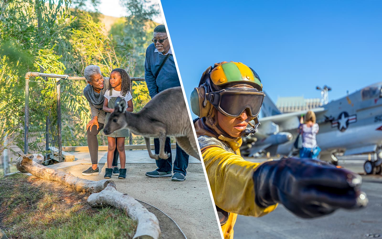 Combo (Save 5%): San Diego Zoo Safari Park + USS Midway Museum Tickets