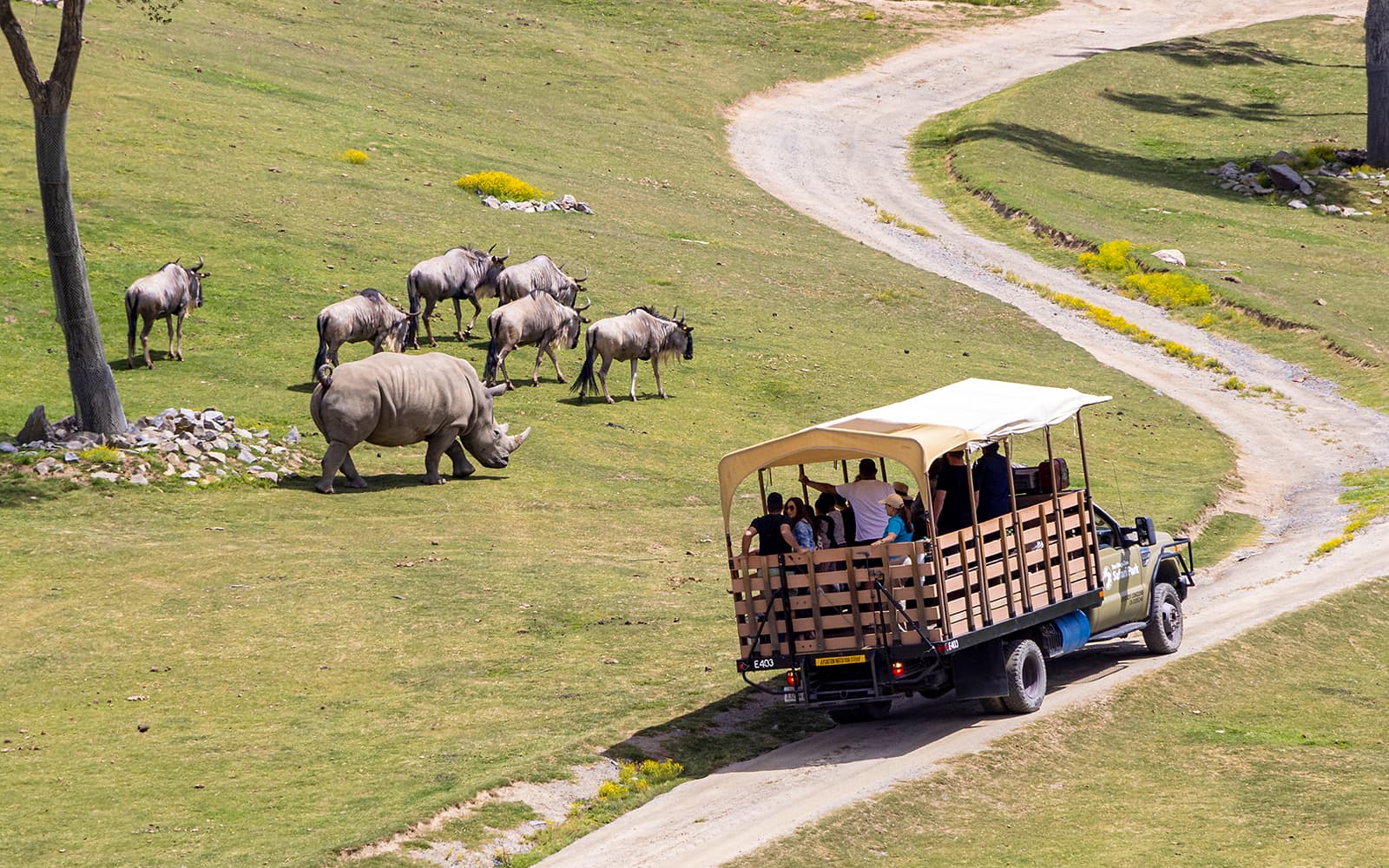 Combo (Save 5%): San Diego Zoo Safari Park + USS Midway Museum Tickets in San Diego - Activities | TickYourList