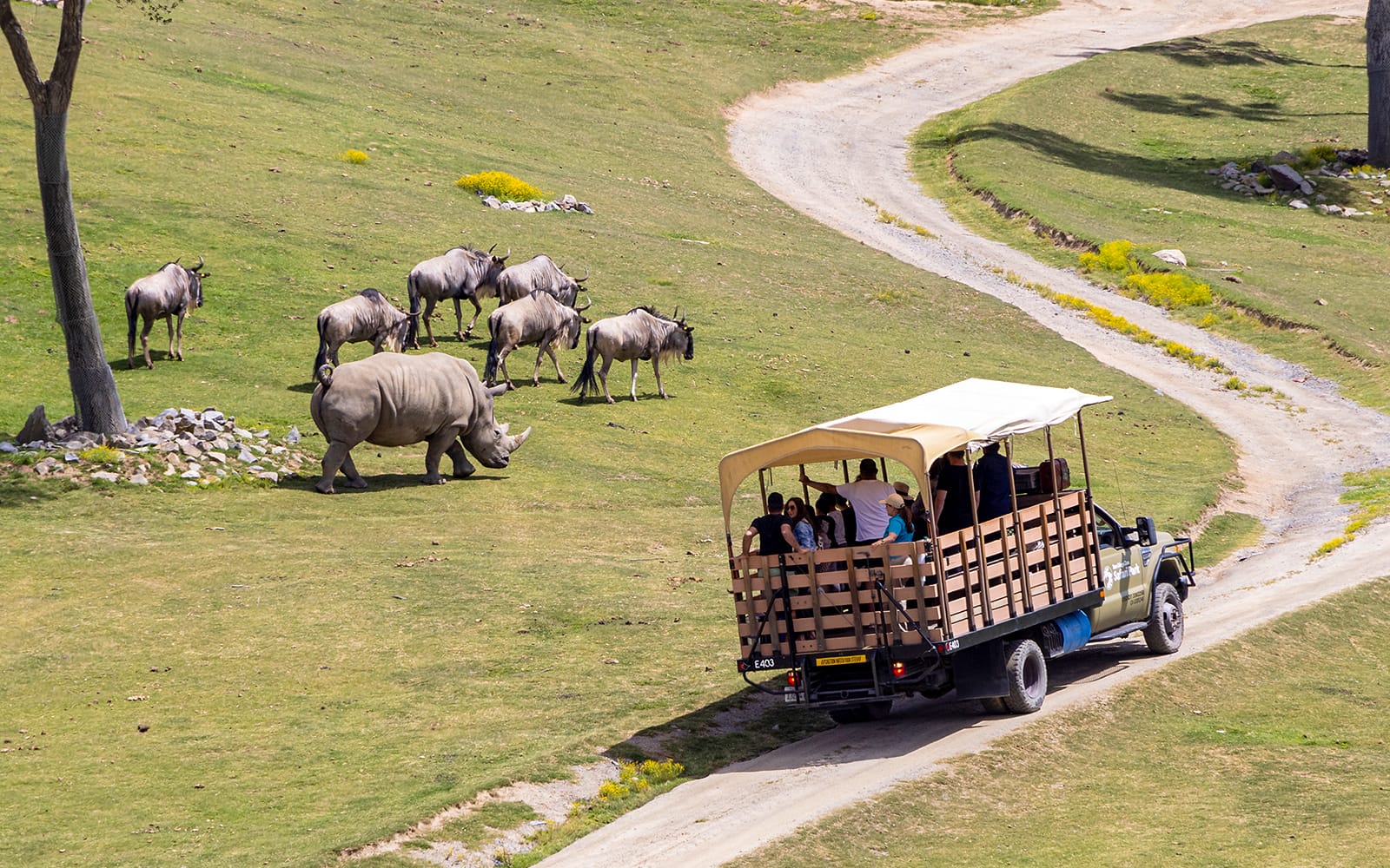 Combo (Save 5%): San Diego Zoo Safari Park + USS Midway Museum Tickets in San Diego - Activities | TickYourList