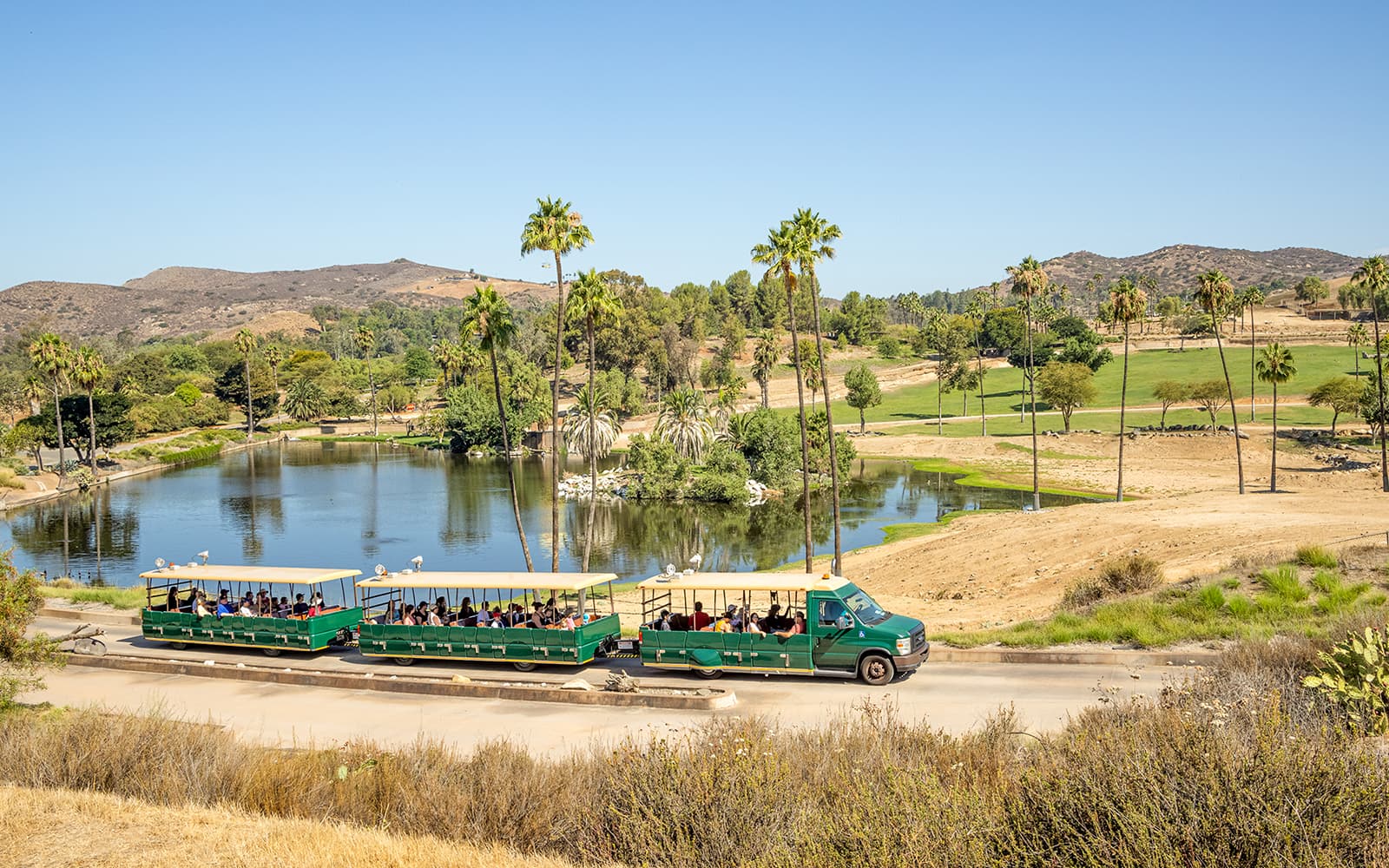 San Diego Zoo Safari Park Tickets in San Diego - Activities | TickYourList