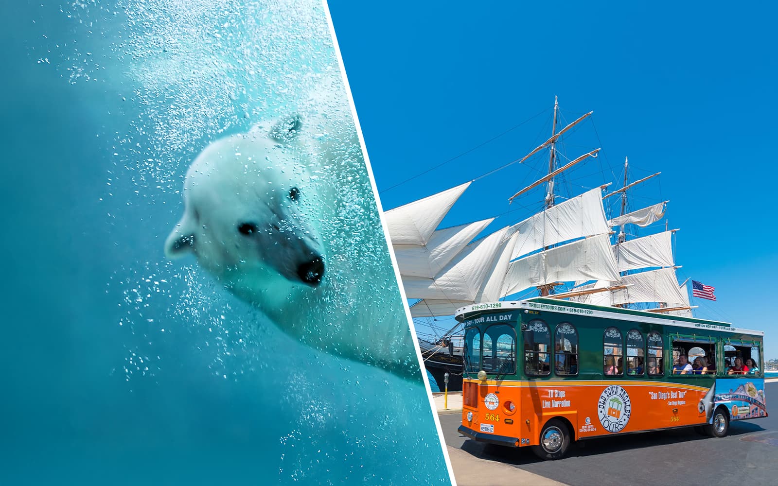 Combo (Save 5%): San Diego Zoo Tickets + Old Town Trolley Tour
