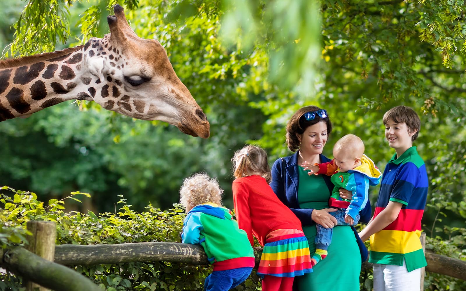 Combo (Save 5%): San Diego Zoo Tickets + Old Town Trolley Tour in San Diego - Attractions | TickYourList