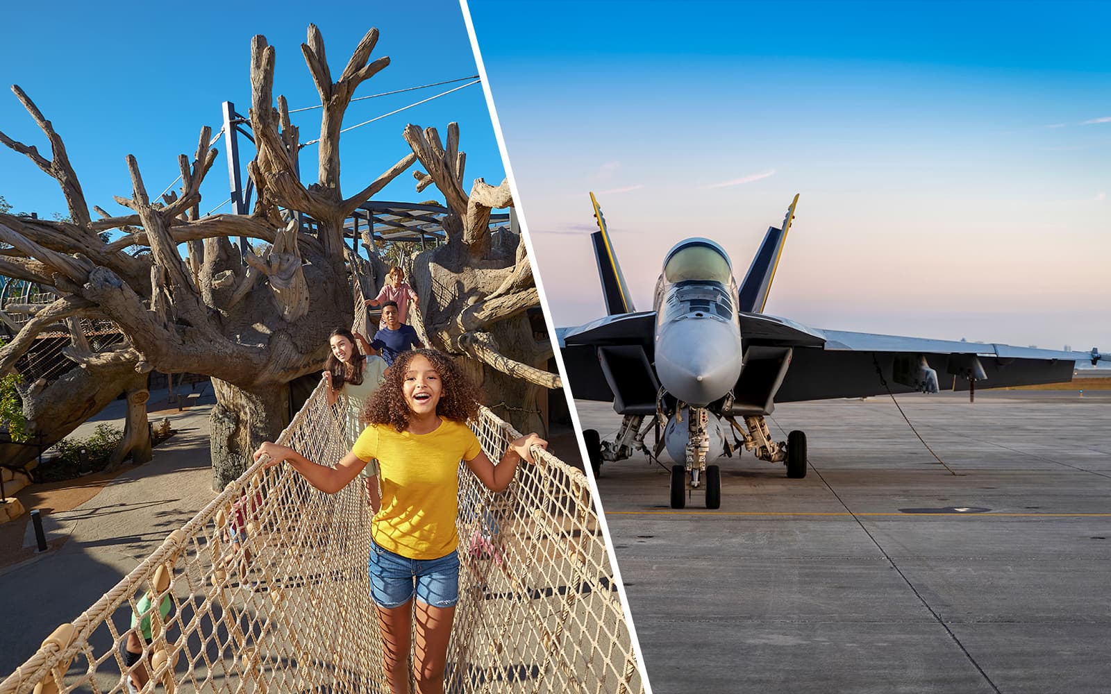Combo (Save 5%): San Diego Zoo + USS Midway Museum Tickets