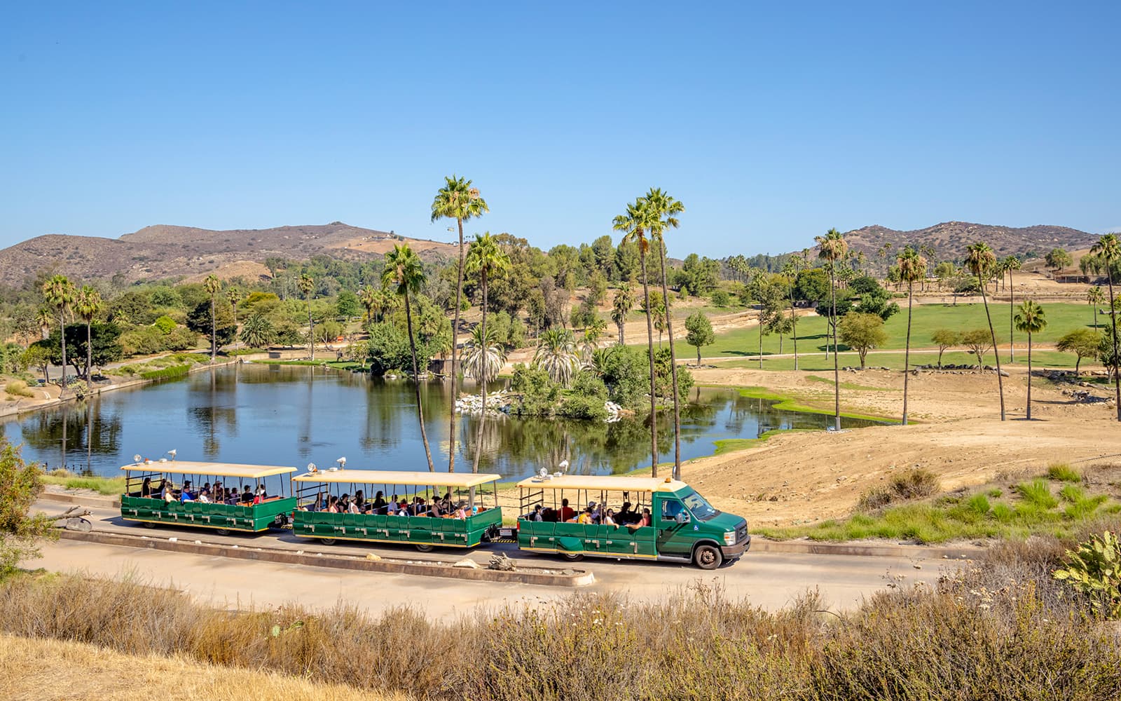 San Diego Zoo & Safari Park 2-Visit Pass tickets in San Diego - Attractions | TickYourList