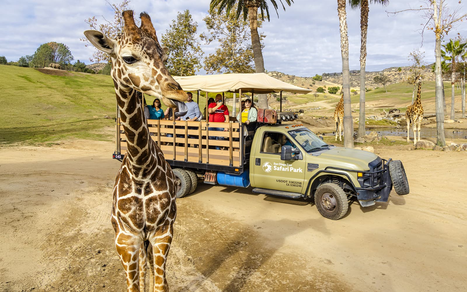 San Diego Zoo & Safari Park 2-Visit Pass tickets in San Diego - Highlights | TickYourList