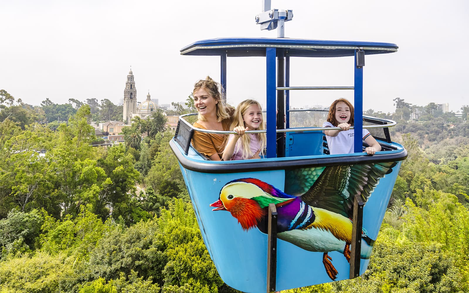 San Diego Zoo & Safari Park 2-Visit Pass tickets in San Diego - Features | TickYourList