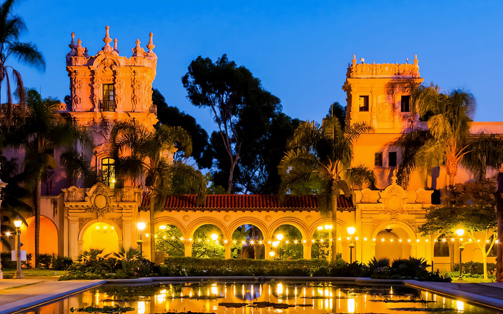 San Diego City Lights Night Tour experience tickets in San Diego | TickYourList