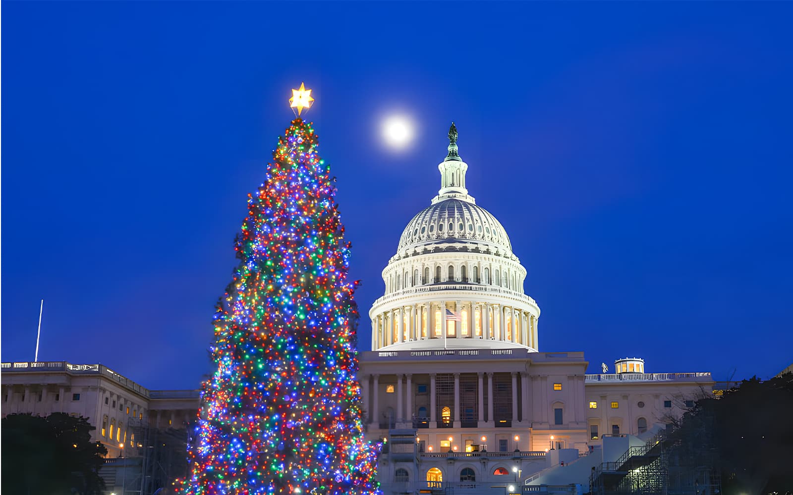 Big Bus: Washington DC Holiday Bus Tour tickets in Washington DC - Attractions | TickYourList