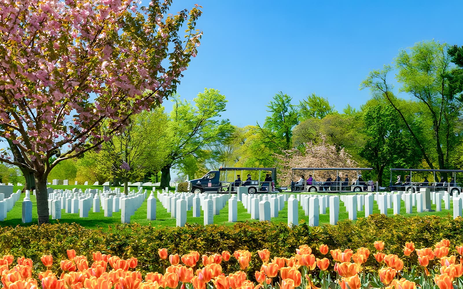 Washington DC: Arlington National Cemetery Tour