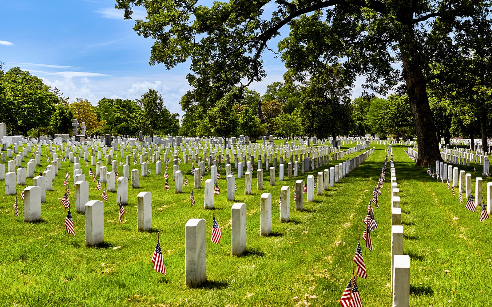 Washington DC: Arlington National Cemetery Tour tickets in Washington DC - Activities | TickYourList