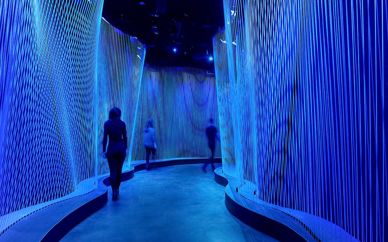 Museum of the Bible Tickets in Washington DC - Activities | TickYourList