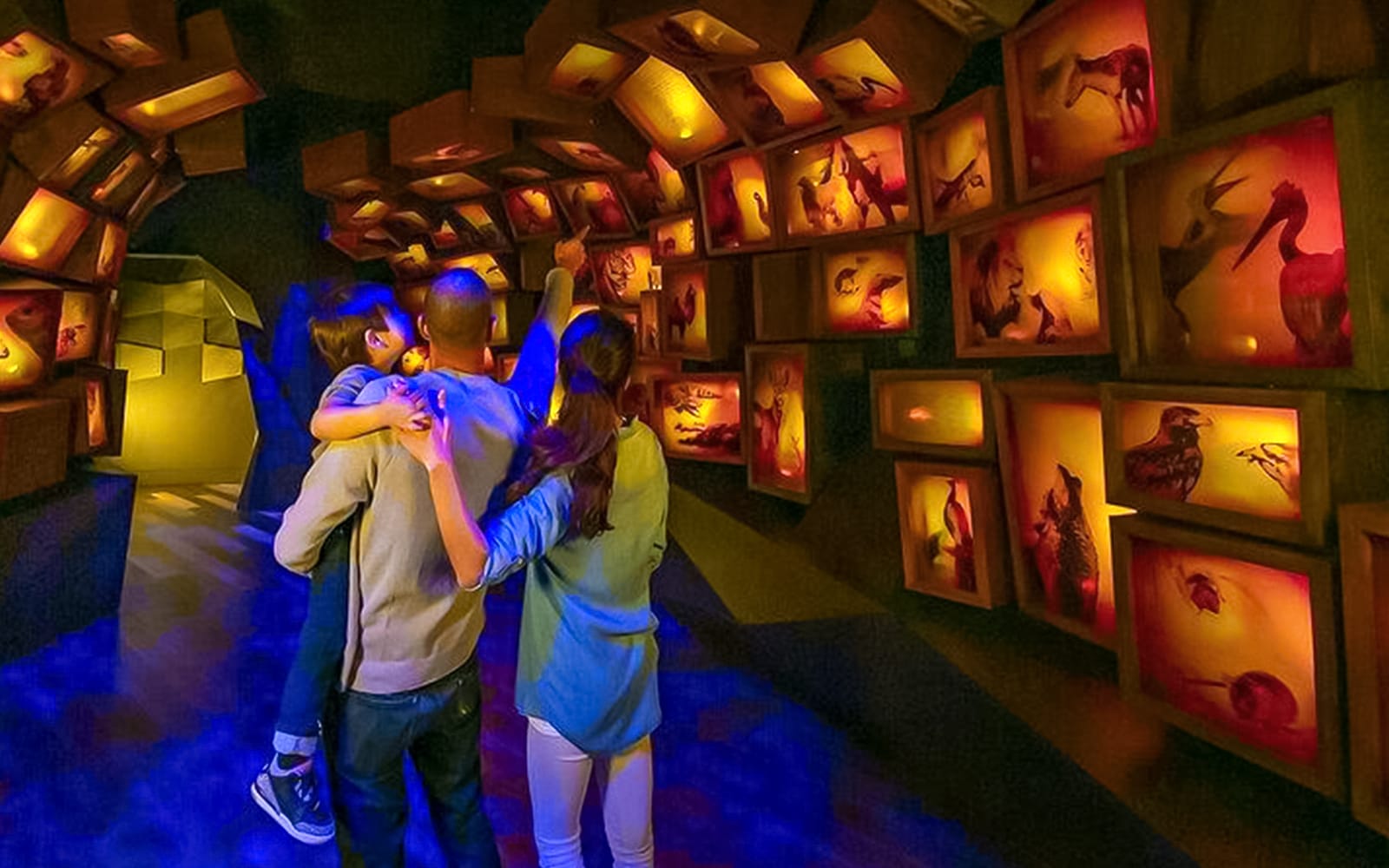 Museum of the Bible Tickets in Washington DC - Features | TickYourList