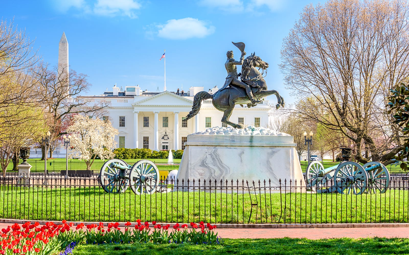 From NYC: Washington DC Day Tour tickets in Washington DC - Activities | TickYourList