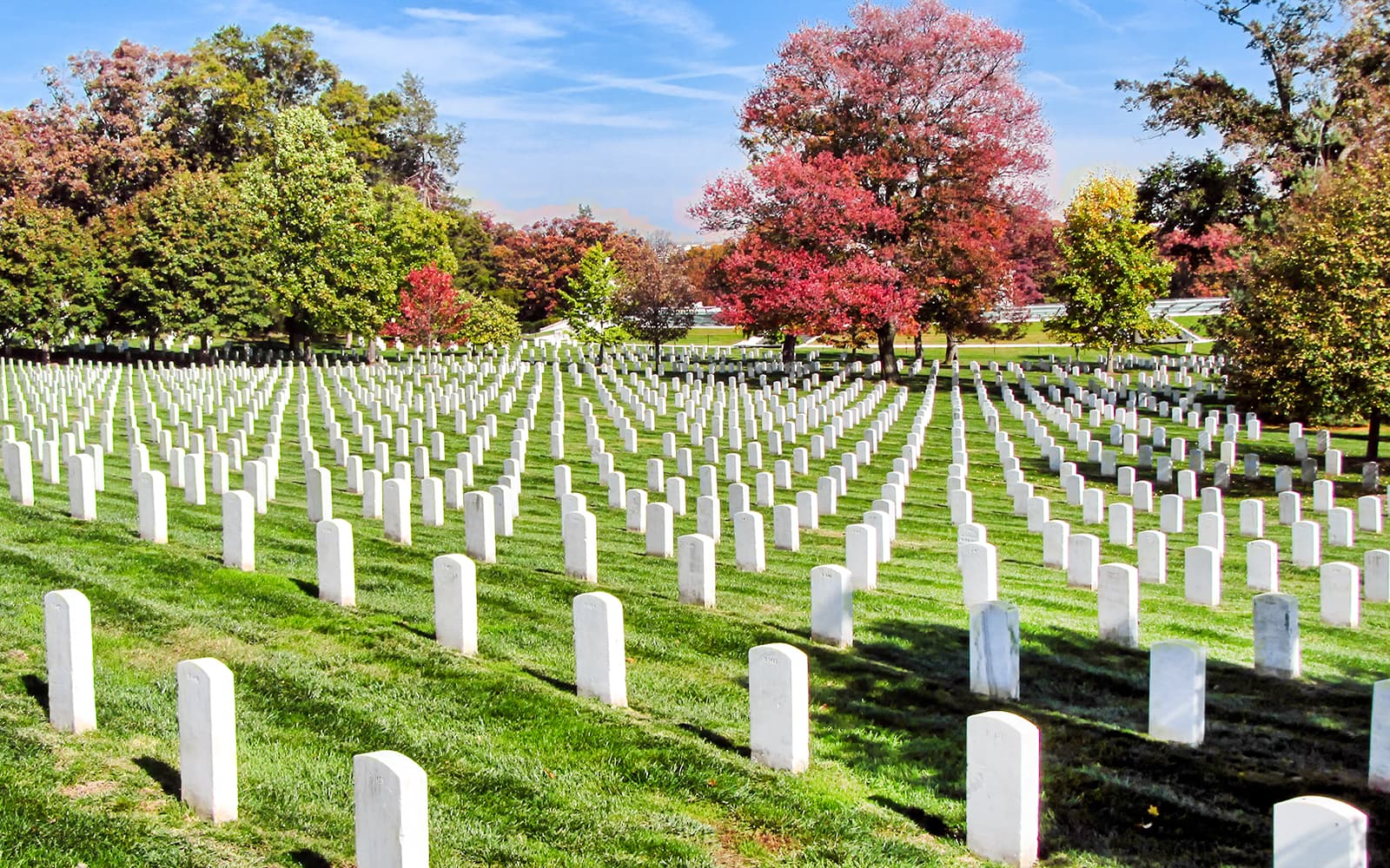 From NYC: Washington DC Day Tour tickets in Washington DC - Features | TickYourList