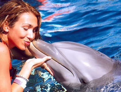 Dolphin Encounter at Isla Mujeres