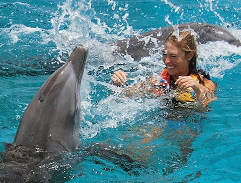 Swim with Dolphins Isla Mujeres - Royal Swim VIP tickets in Cancun | TickYourList