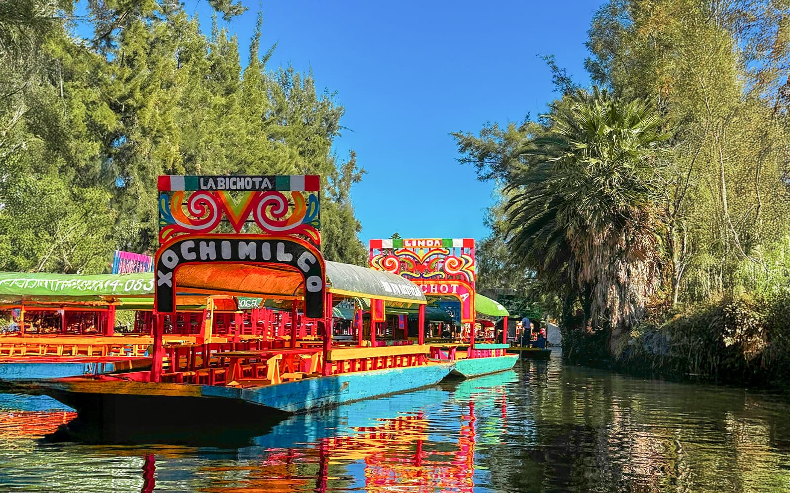 Xochimilco Trajinera Party with Unlimited Food and Drinks tickets in Mexico City - Attractions | TickYourList