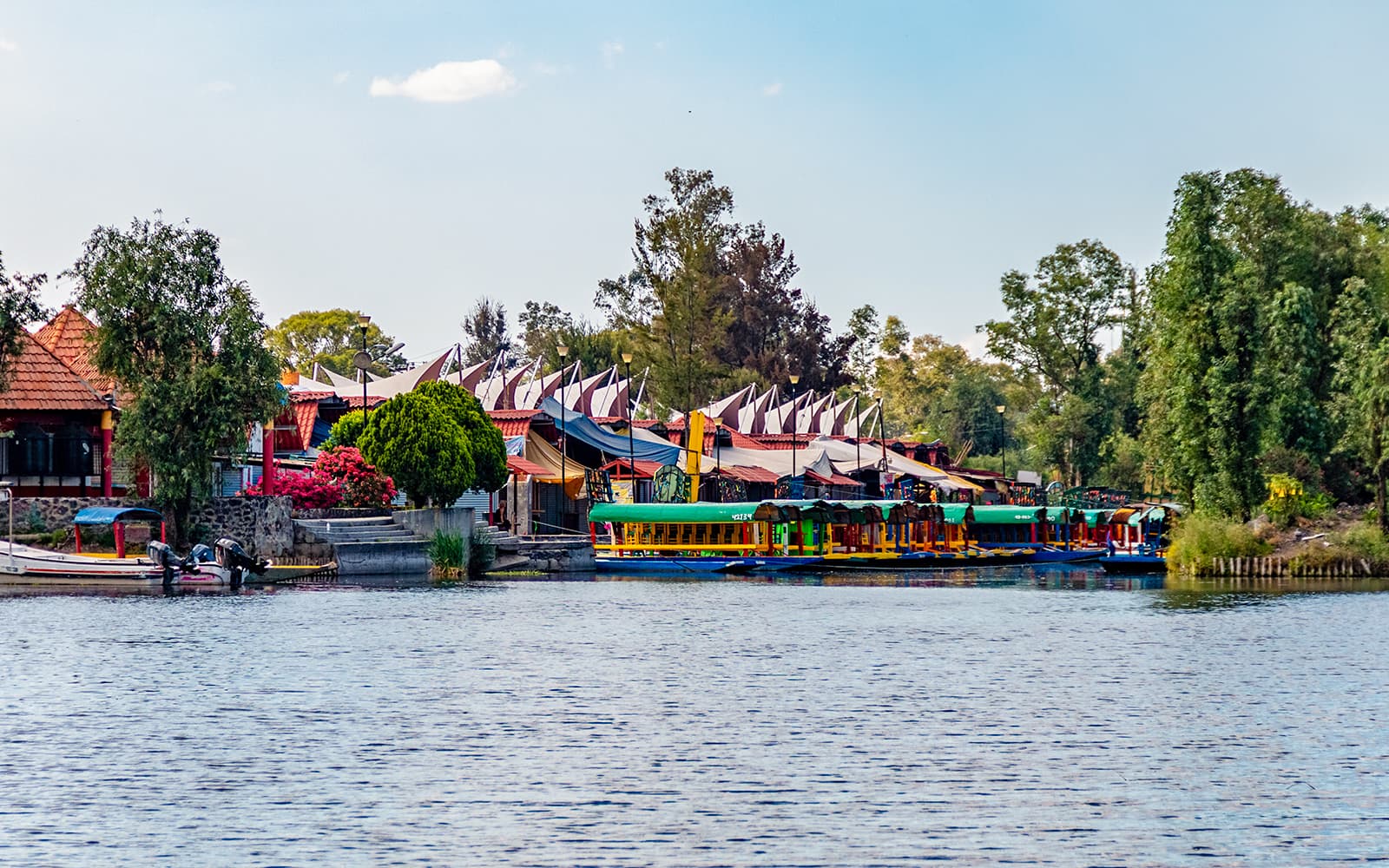 From Mexico City: Frida Kahlo Museum and Xochimilco Premium Tour tickets in Mexico City - Attractions | TickYourList