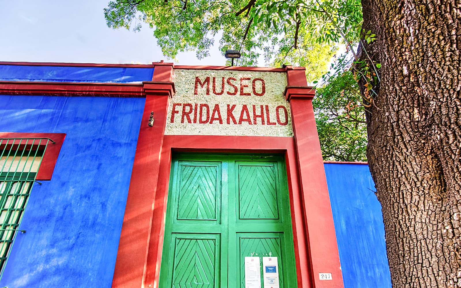 Full-Day Tour: Frida Kahlo Museum Tickets with Coyoacán Stroll & Xochimilco Boat Ride in Mexico City - Features | TickYourList