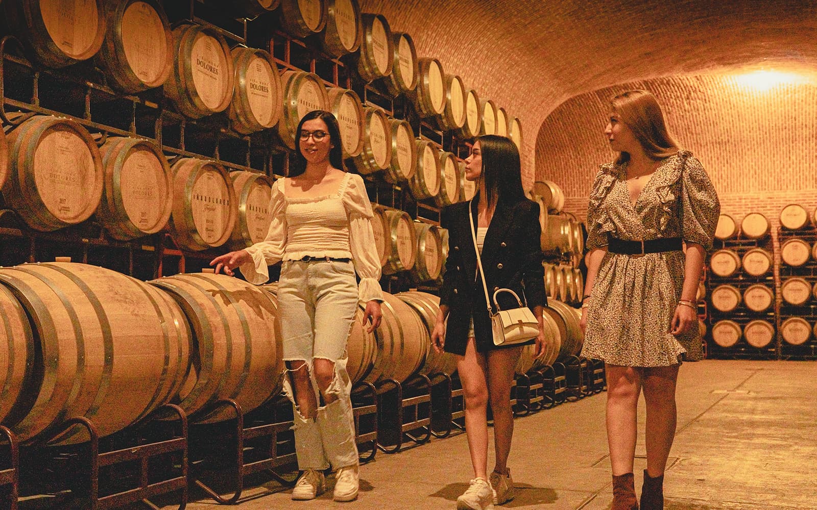Tour of Peña de Bernal & Wine Cellar in Queretaro tickets in Mexico City - Attractions | TickYourList