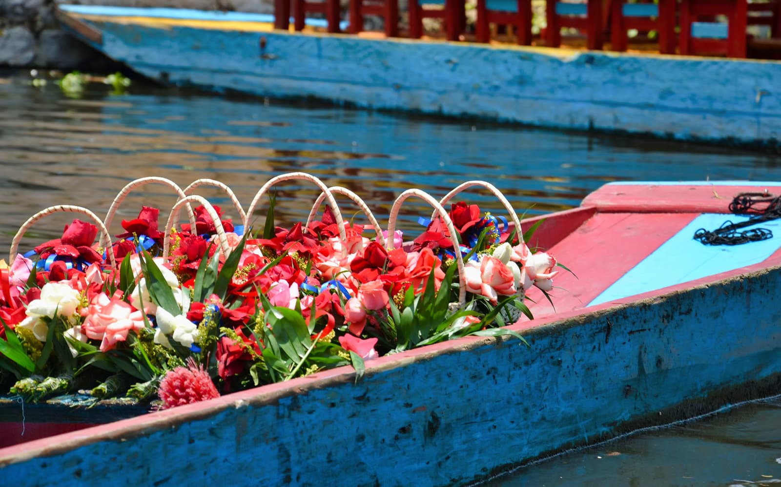 Xochimilco & Mexico City Full Day Guided Tour with Transfers tickets in Mexico City - Full Experience | TickYourList