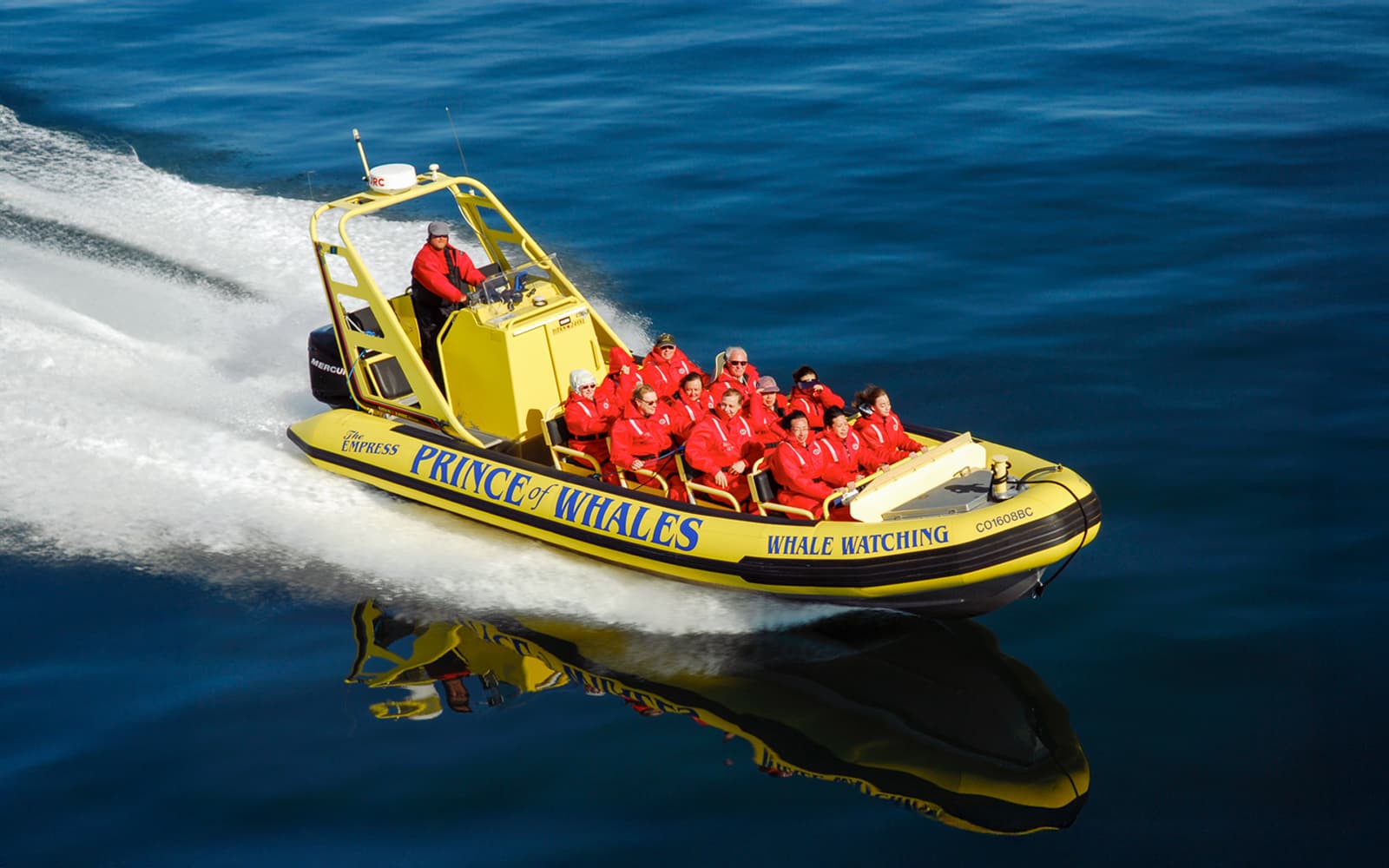Victoria Whale Watching Tour by Zodiac (Open-Air Boat) tickets in Vancouver - Attractions | TickYourList