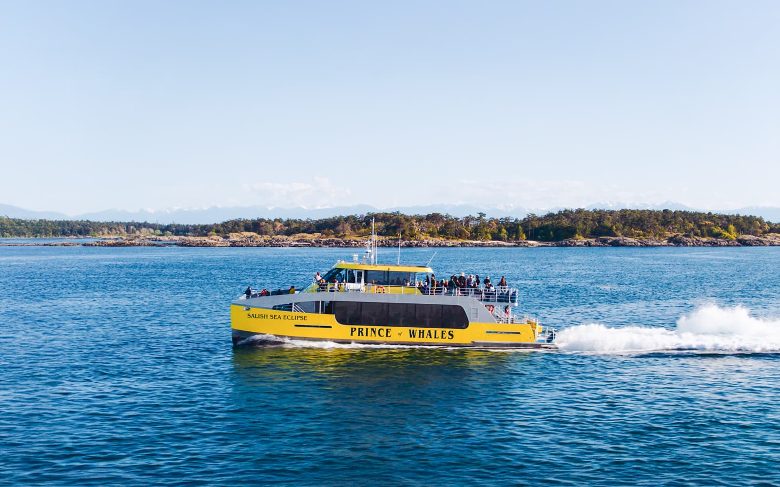 Victoria Half-Day Whale Watching Tour by Covered Boat tickets in Vancouver - Features | TickYourList